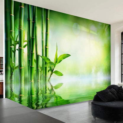 Wall Mural - Bamboo Grove-Wall Murals-ArtfulPrivacy