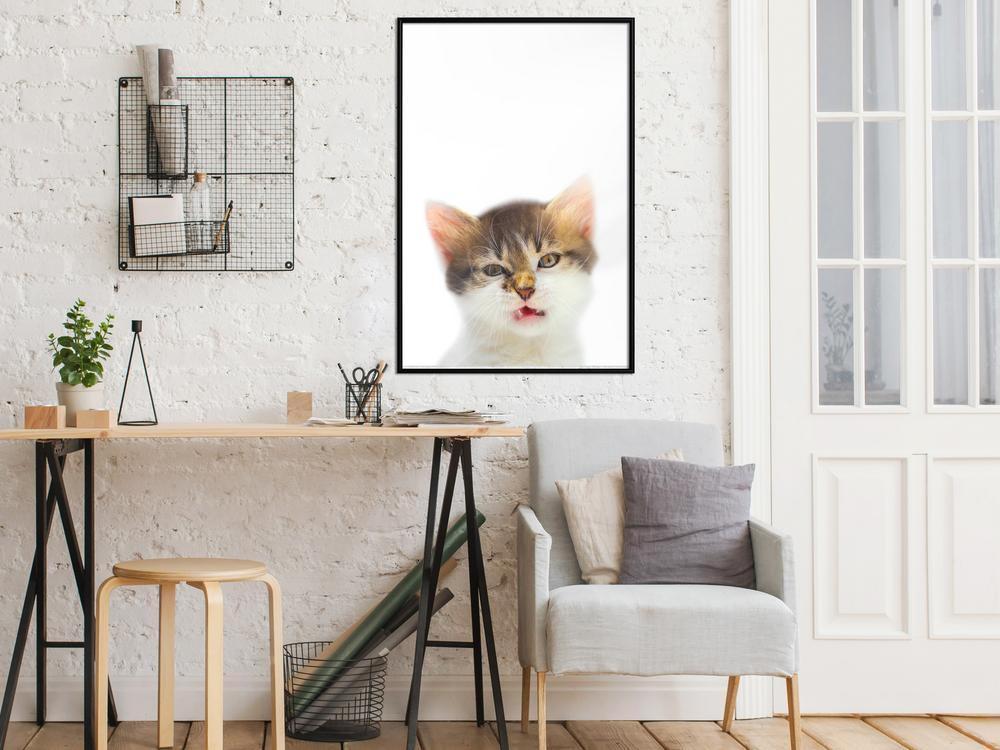 Nursery Room Wall Frame - Funny Kitten-artwork for wall with acrylic glass protection