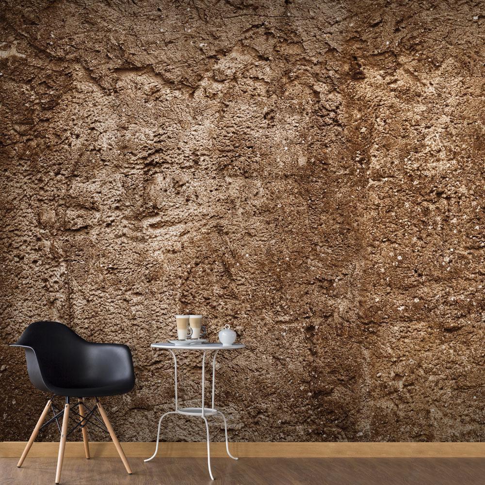Wall Mural - Cave of Time-Wall Murals-ArtfulPrivacy