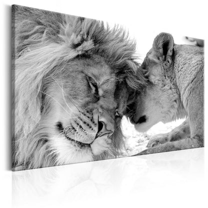 Canvas Print - Lion's Love-ArtfulPrivacy-Wall Art Collection