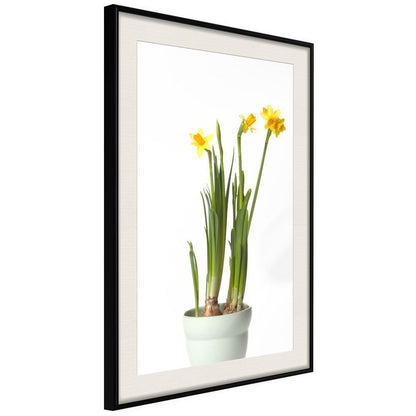 Botanical Wall Art - Piece of Nature IV-artwork for wall with acrylic glass protection