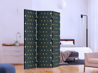 Room Divider - Dots