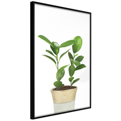 Botanical Wall Art - Piece of Nature II-artwork for wall with acrylic glass protection