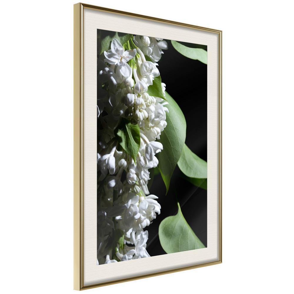 Botanical Wall Art - Fragrant Spring-artwork for wall with acrylic glass protection