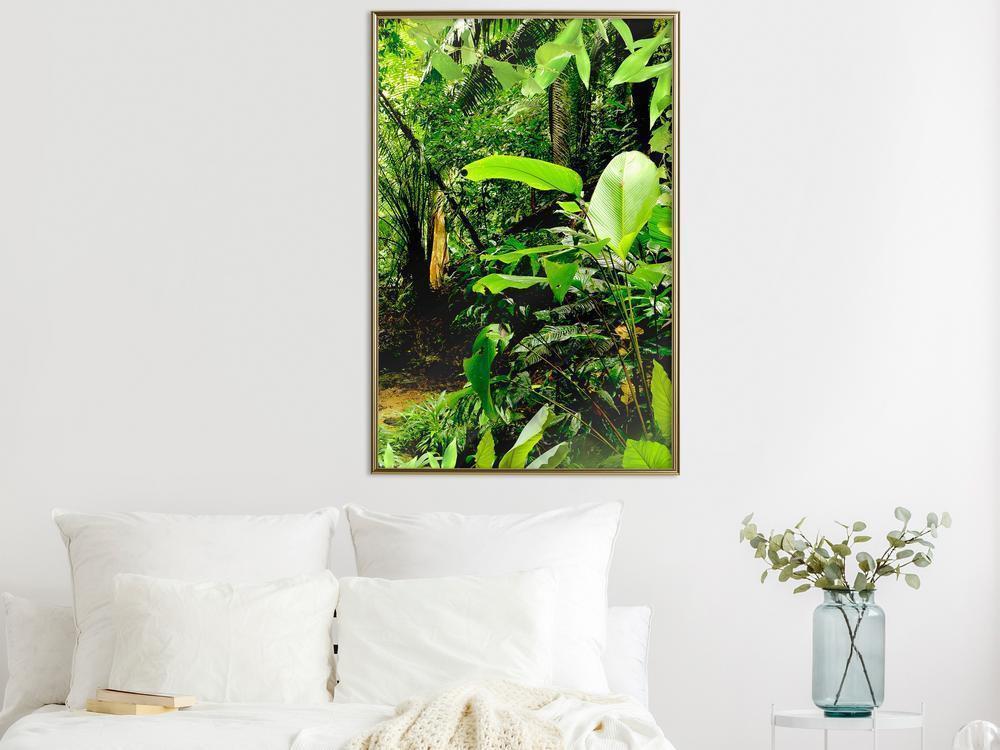 Framed Art - In the Rainforest-artwork for wall with acrylic glass protection