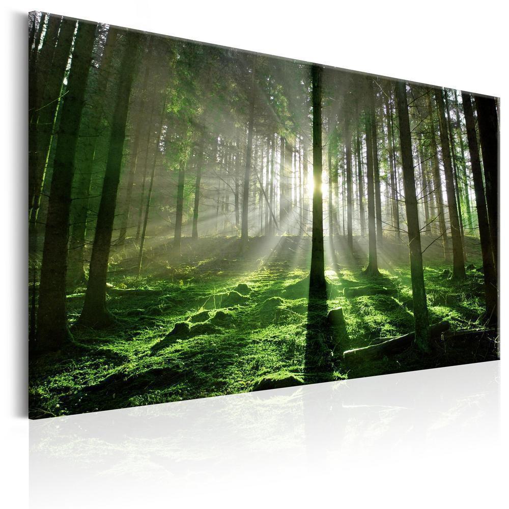 Canvas Print - Emerald Forest II-ArtfulPrivacy-Wall Art Collection