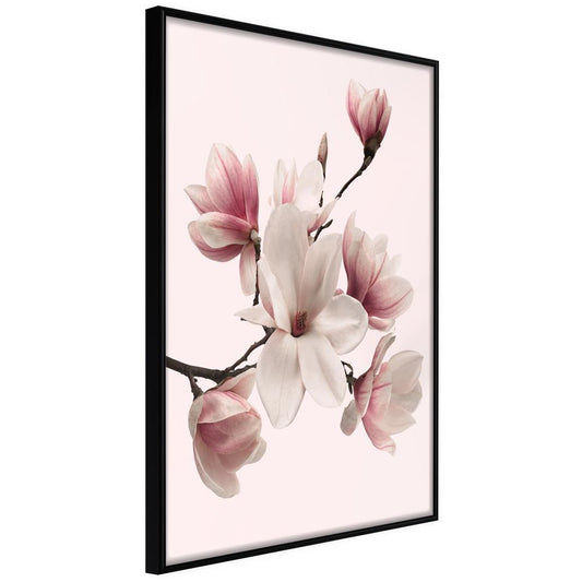 Botanical Wall Art - Blooming Magnolias I-artwork for wall with acrylic glass protection