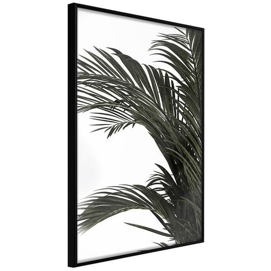 Botanical Wall Art - Jungle Scent-artwork for wall with acrylic glass protection