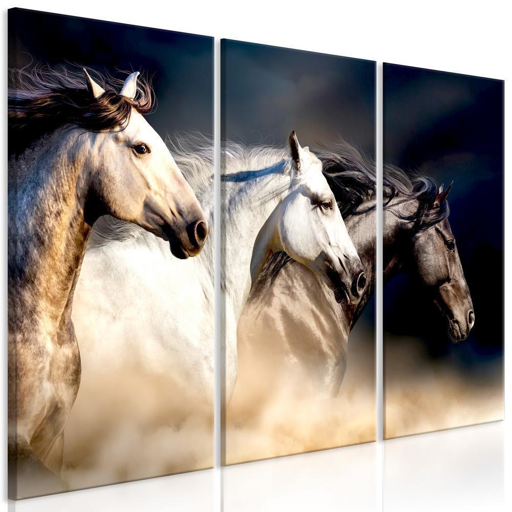 Canvas Print - Sons of the Wind (3 Parts)-ArtfulPrivacy-Wall Art Collection
