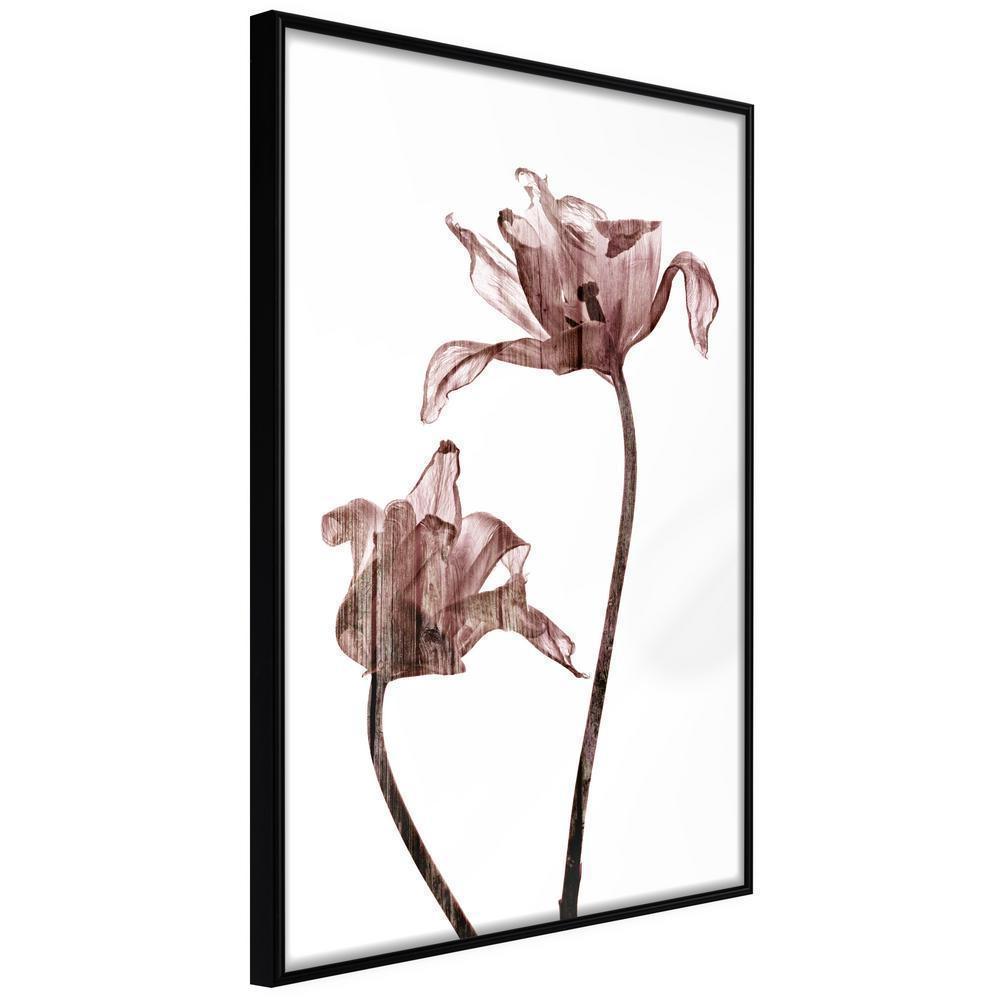 Botanical Wall Art - Flashback of Last Summer-artwork for wall with acrylic glass protection