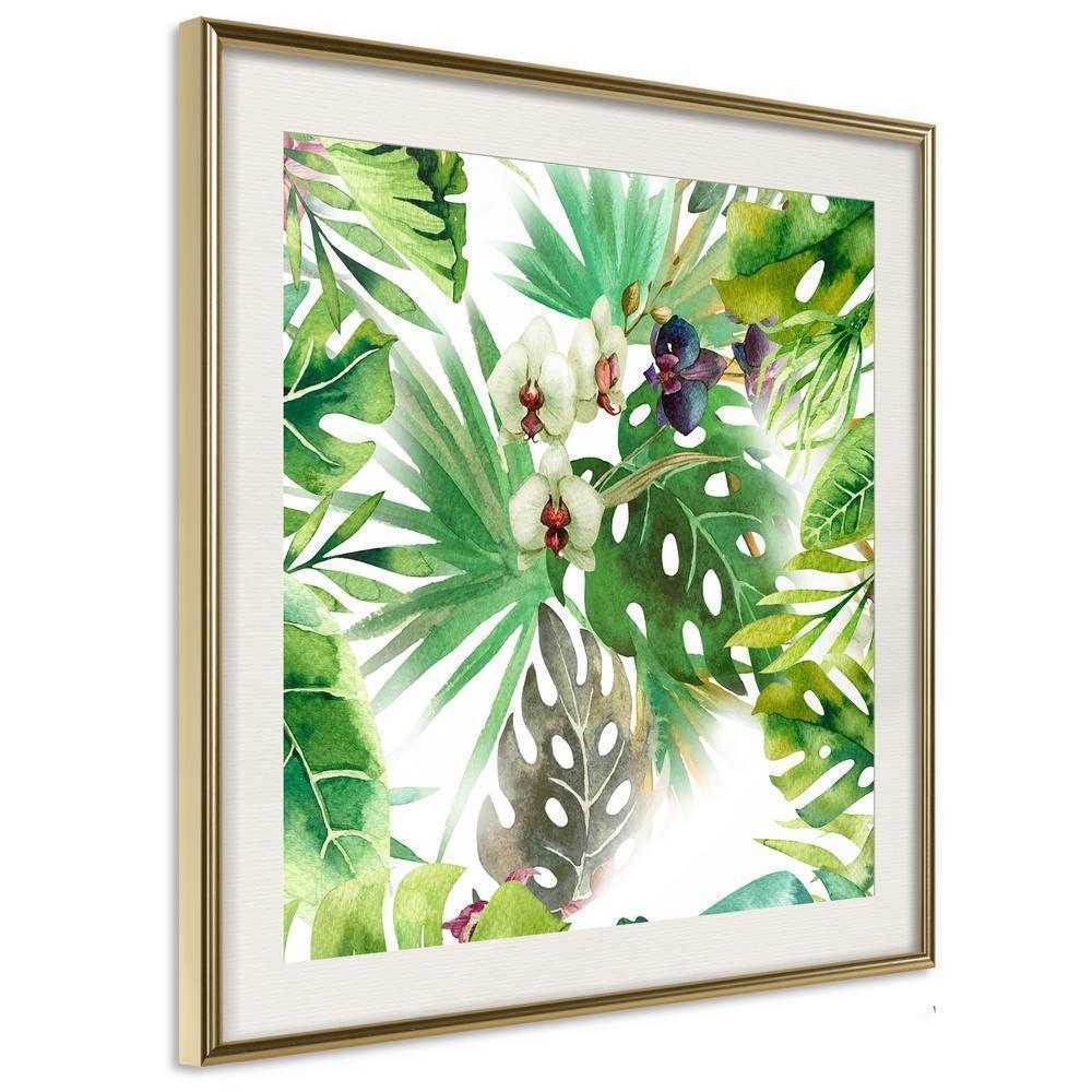 Botanical Wall Art - Monsteras, Inc. II (Square)-artwork for wall with acrylic glass protection