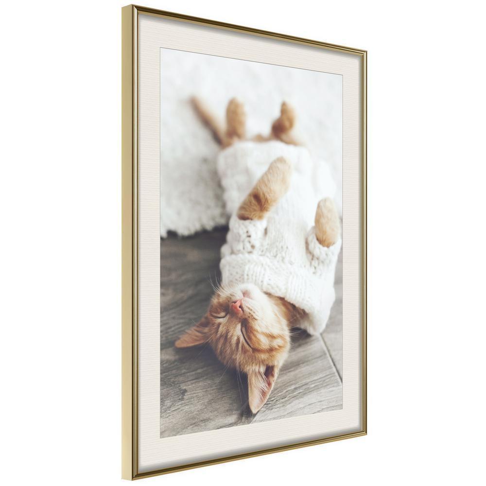 Winter Design Framed Artwork - Kitten Life-artwork for wall with acrylic glass protection