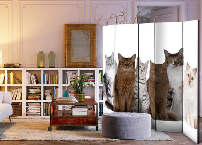 Decorative partition-Room Divider - Sweet Cats II-Folding Screen Wall Panel by ArtfulPrivacy