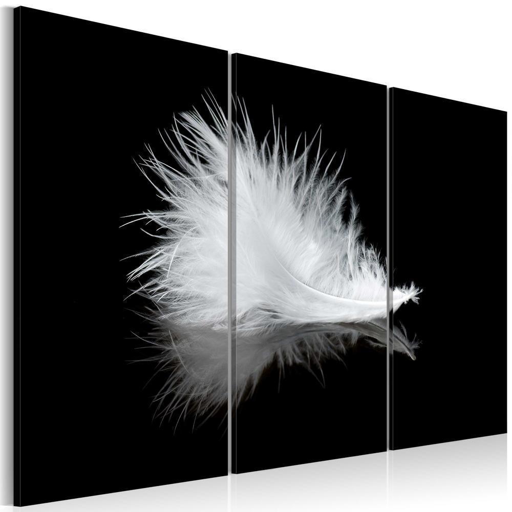 Canvas Print - A small feather-ArtfulPrivacy-Wall Art Collection