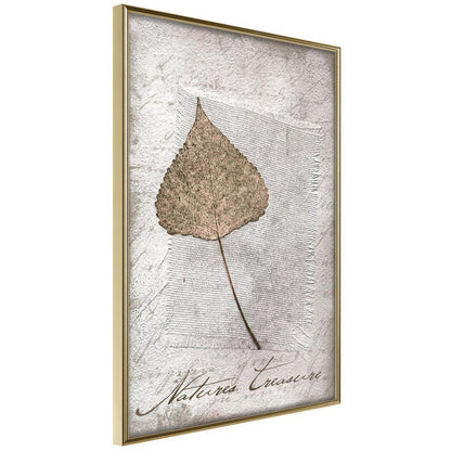 Botanical Wall Art - Dried Leaf-artwork for wall with acrylic glass protection