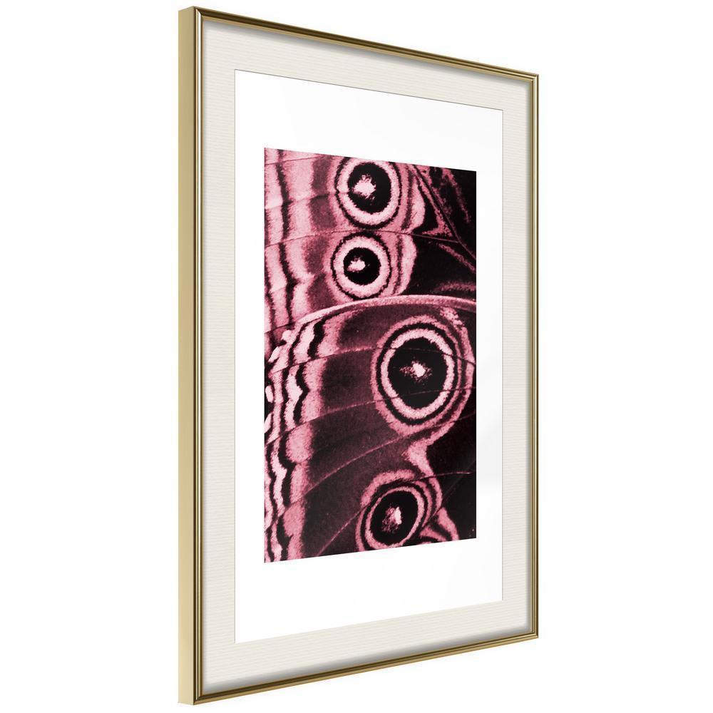 Framed Art - Butterfly Wings-artwork for wall with acrylic glass protection