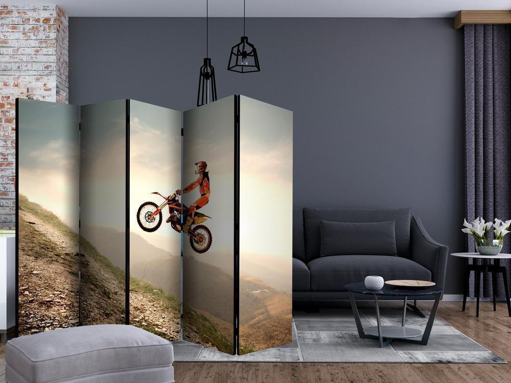 Room Divider - Motor sport II- A 5 Panel Folding Screen For Living rooms, bedrooms or home office, decorative folding screen made with wood and canvas