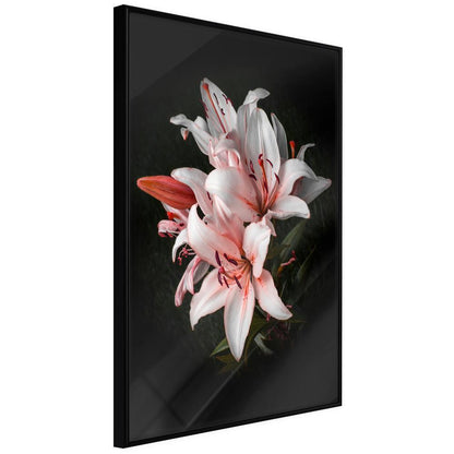 Botanical Wall Art - Pale Pink Lilies-artwork for wall with acrylic glass protection