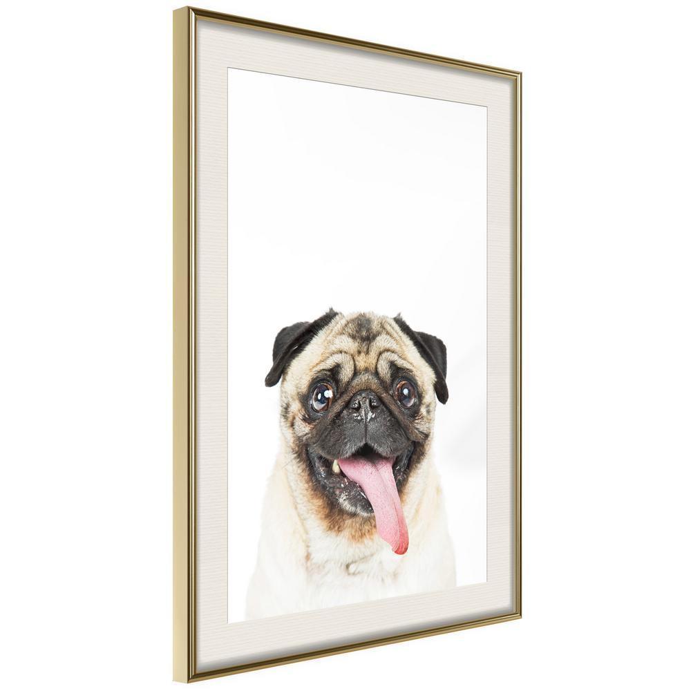 Nursery Room Wall Frame - Funny Pug-artwork for wall with acrylic glass protection