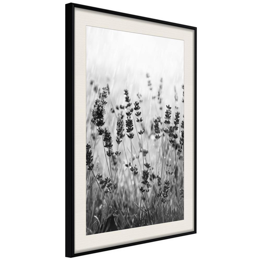 Botanical Wall Art - Shadow of Meadow-artwork for wall with acrylic glass protection