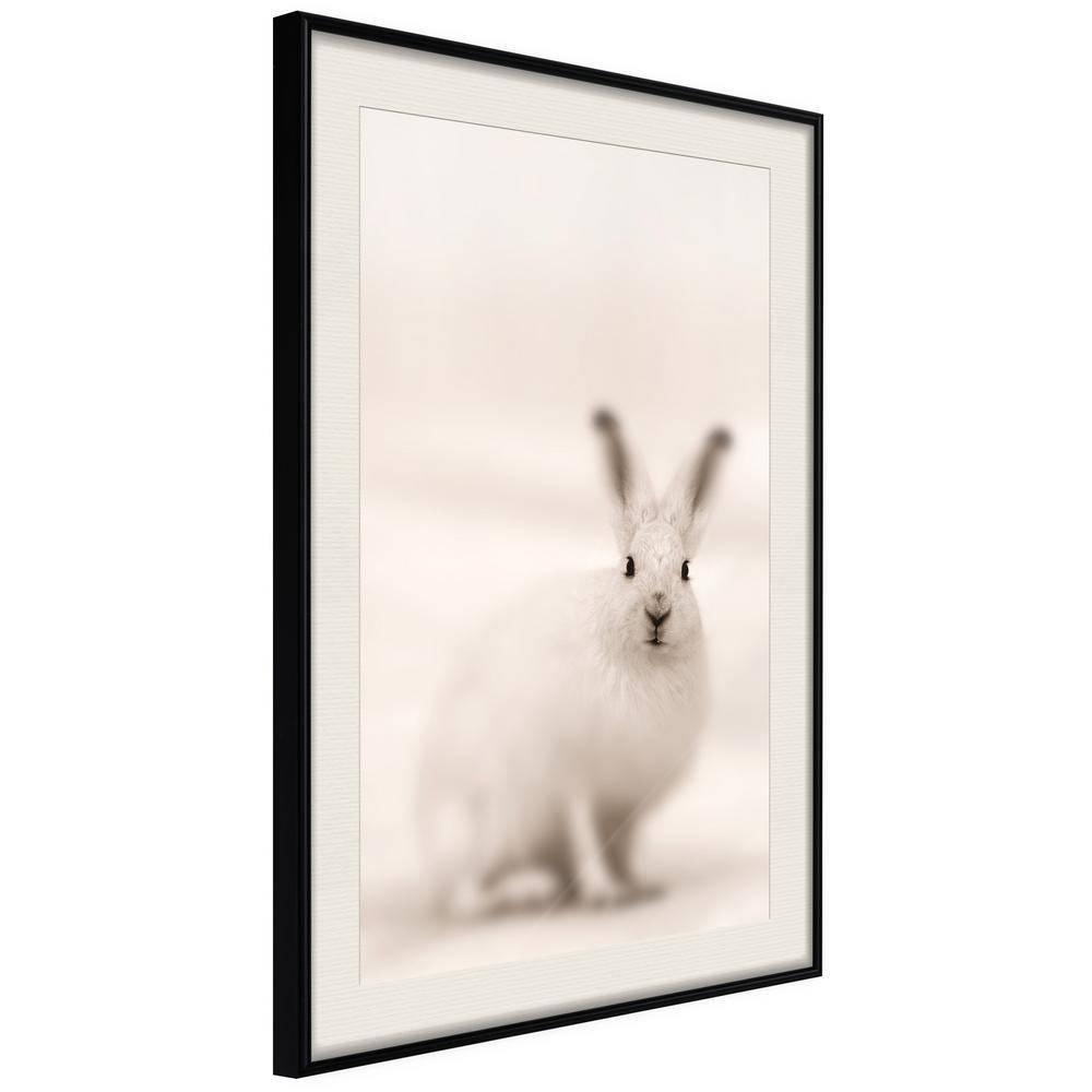 Frame Wall Art - Curious Rabbit-artwork for wall with acrylic glass protection