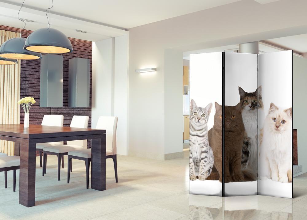 Decorative partition-Room Divider - Sweet Cats-Folding Screen Wall Panel by ArtfulPrivacy