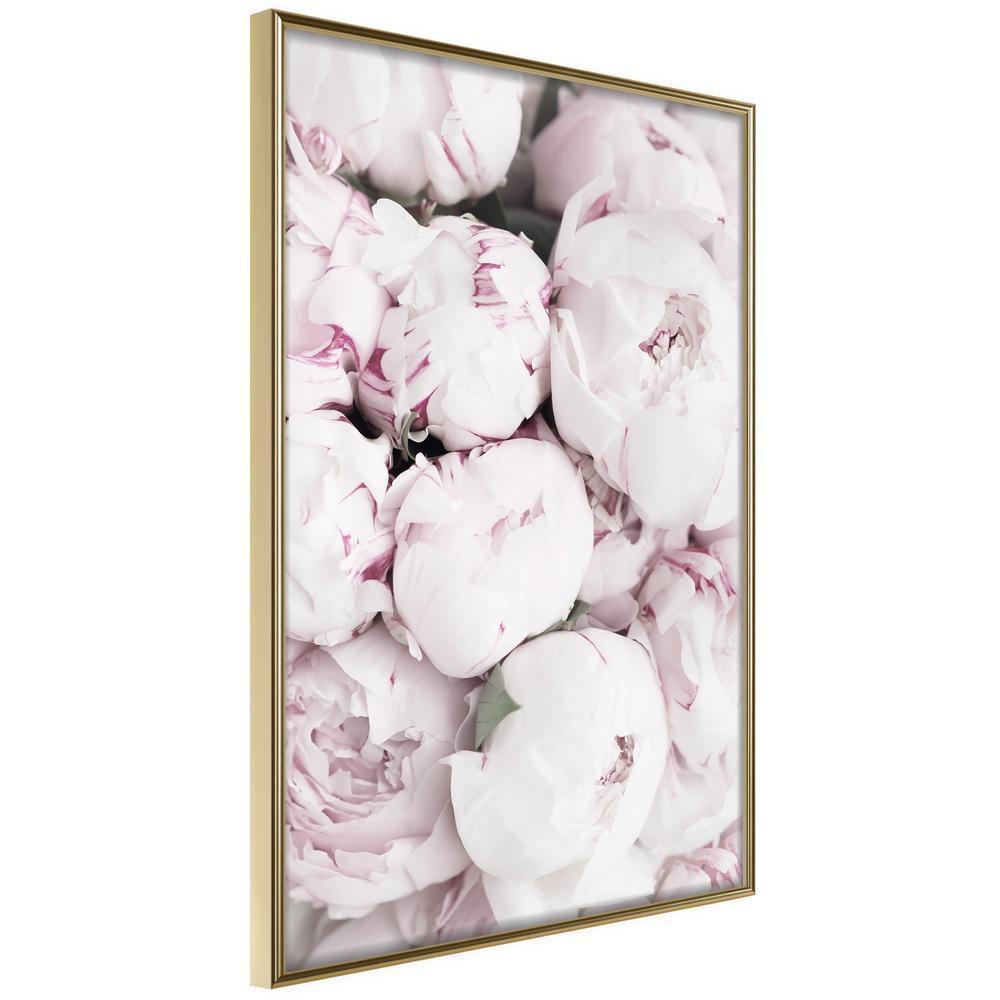 Botanical Wall Art - Girly Dream-artwork for wall with acrylic glass protection