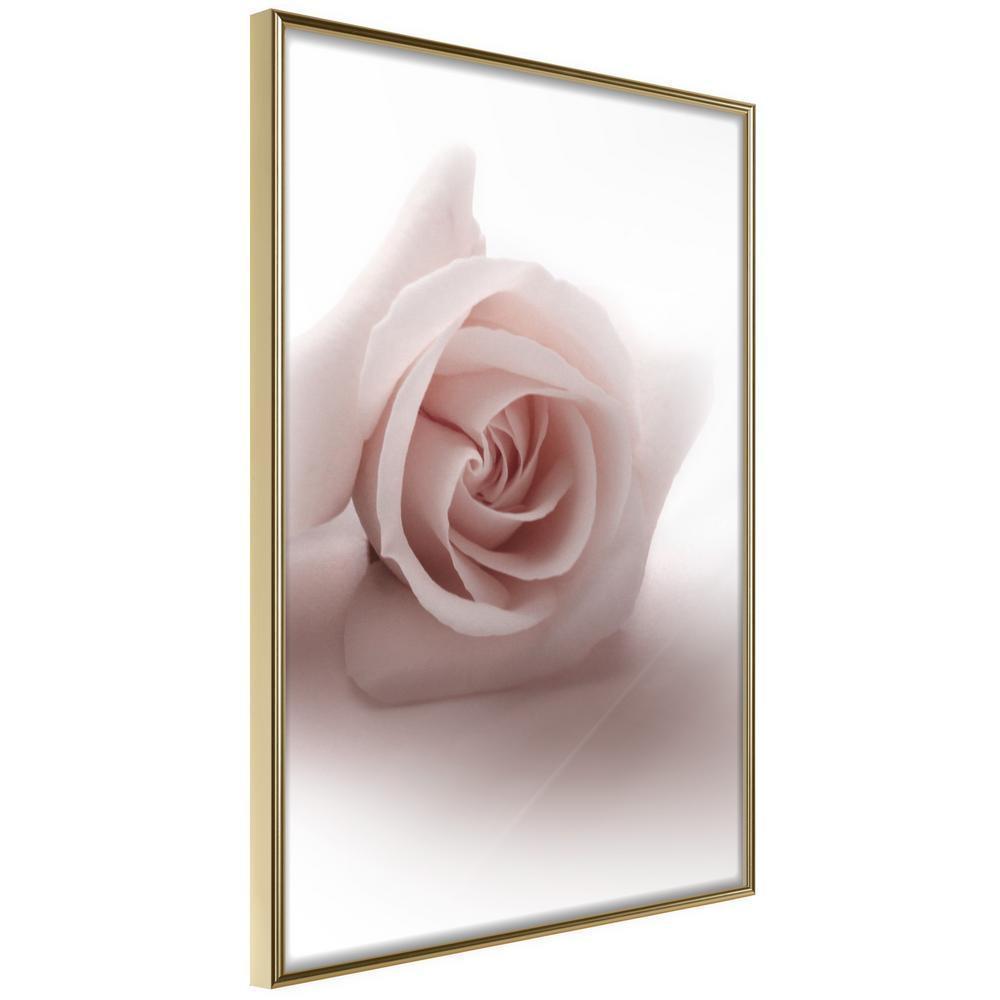 Botanical Wall Art - Subtle Flower-artwork for wall with acrylic glass protection