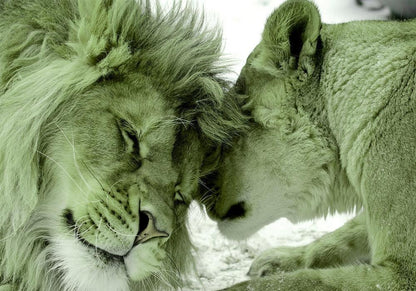 Wall Mural - Lion Tenderness (Green)-Wall Murals-ArtfulPrivacy