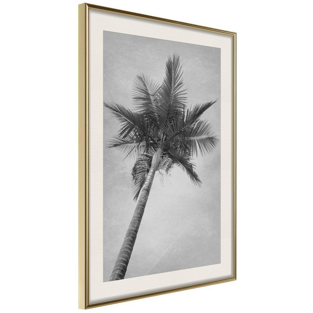 Black and White Framed Poster - Memories from the Paradise-artwork for wall with acrylic glass protection