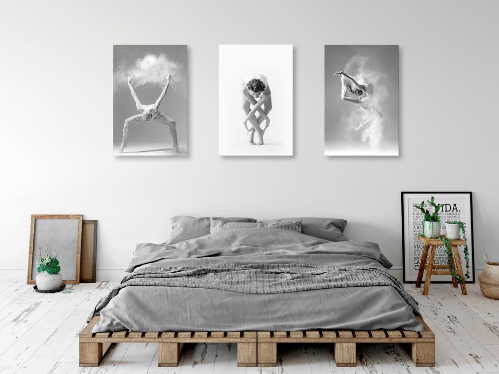 Canvas Print - Ballet (Collection)-ArtfulPrivacy-Wall Art Collection