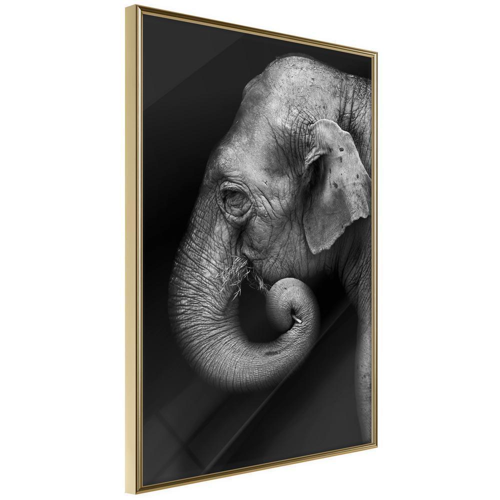 Frame Wall Art - Wisdom-artwork for wall with acrylic glass protection