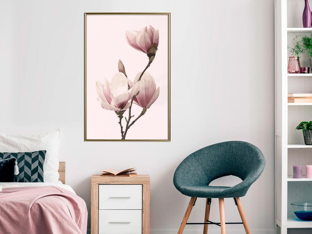 Botanical Wall Art - Blooming Magnolias III-artwork for wall with acrylic glass protection