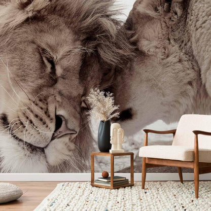 Wall Mural - Lion Tenderness (Sepia)