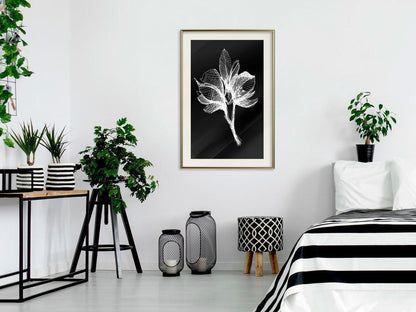 Botanical Wall Art - White Plant-artwork for wall with acrylic glass protection