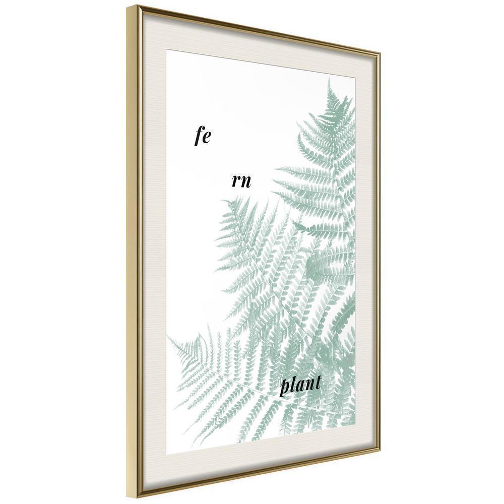 Botanical Wall Art - Pale Green Fern-artwork for wall with acrylic glass protection