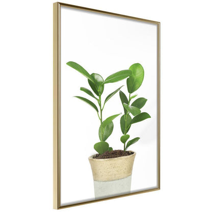 Botanical Wall Art - Piece of Nature II-artwork for wall with acrylic glass protection