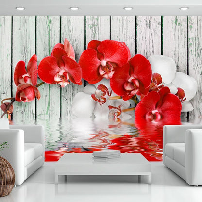 Wall Mural - Ruby orchid-Wall Murals-ArtfulPrivacy