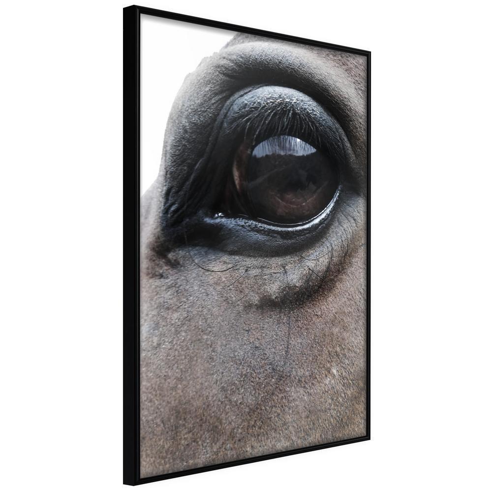 Frame Wall Art - Gentle Eyes-artwork for wall with acrylic glass protection