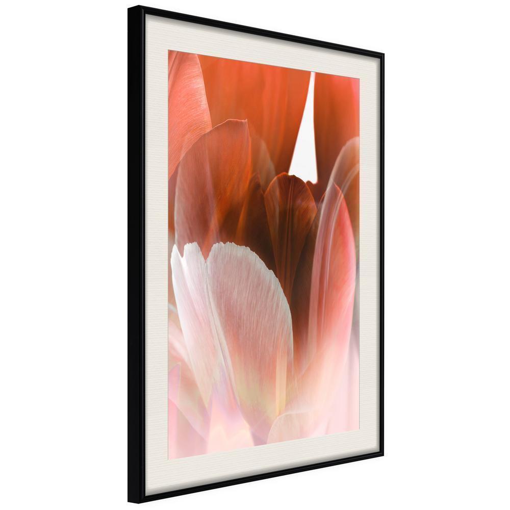 Botanical Wall Art - Tulip Petals-artwork for wall with acrylic glass protection