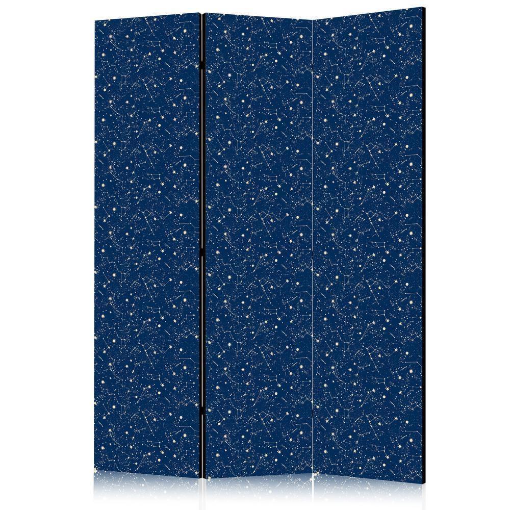 Room Divider - Cosmic Inspirations - Pattern with Stars and Constellations on a Dark Background