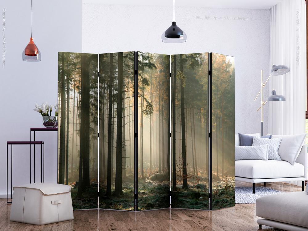 Decorative partition-Room Divider - Foggy November morning II-Folding Screen Wall Panel by ArtfulPrivacy