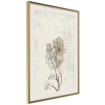 Botanical Wall Art - Life of Plants-artwork for wall with acrylic glass protection