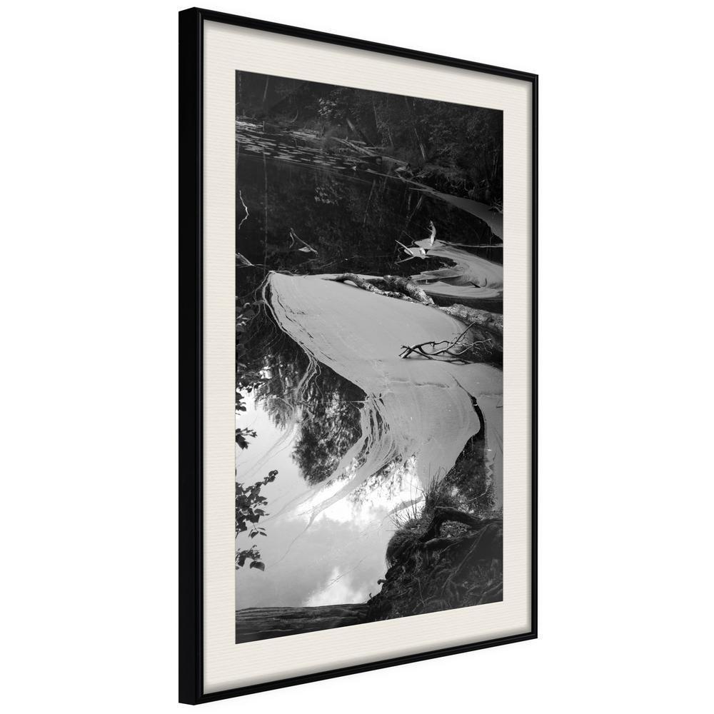 Black and White Framed Poster - Duckweed-artwork for wall with acrylic glass protection