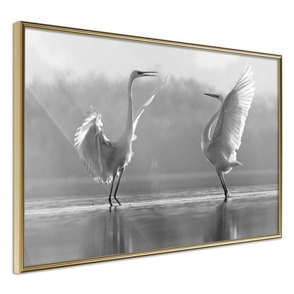 Black and White Framed Poster - Herons-artwork for wall with acrylic glass protection