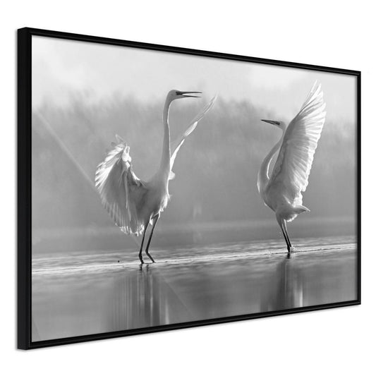 Black and White Framed Poster - Herons-artwork for wall with acrylic glass protection