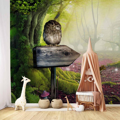 Wall Mural - Owlish corner