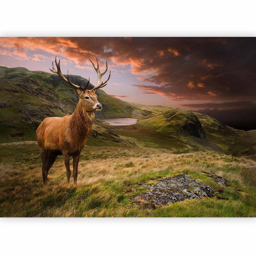 Wall Mural - Deer on Hill