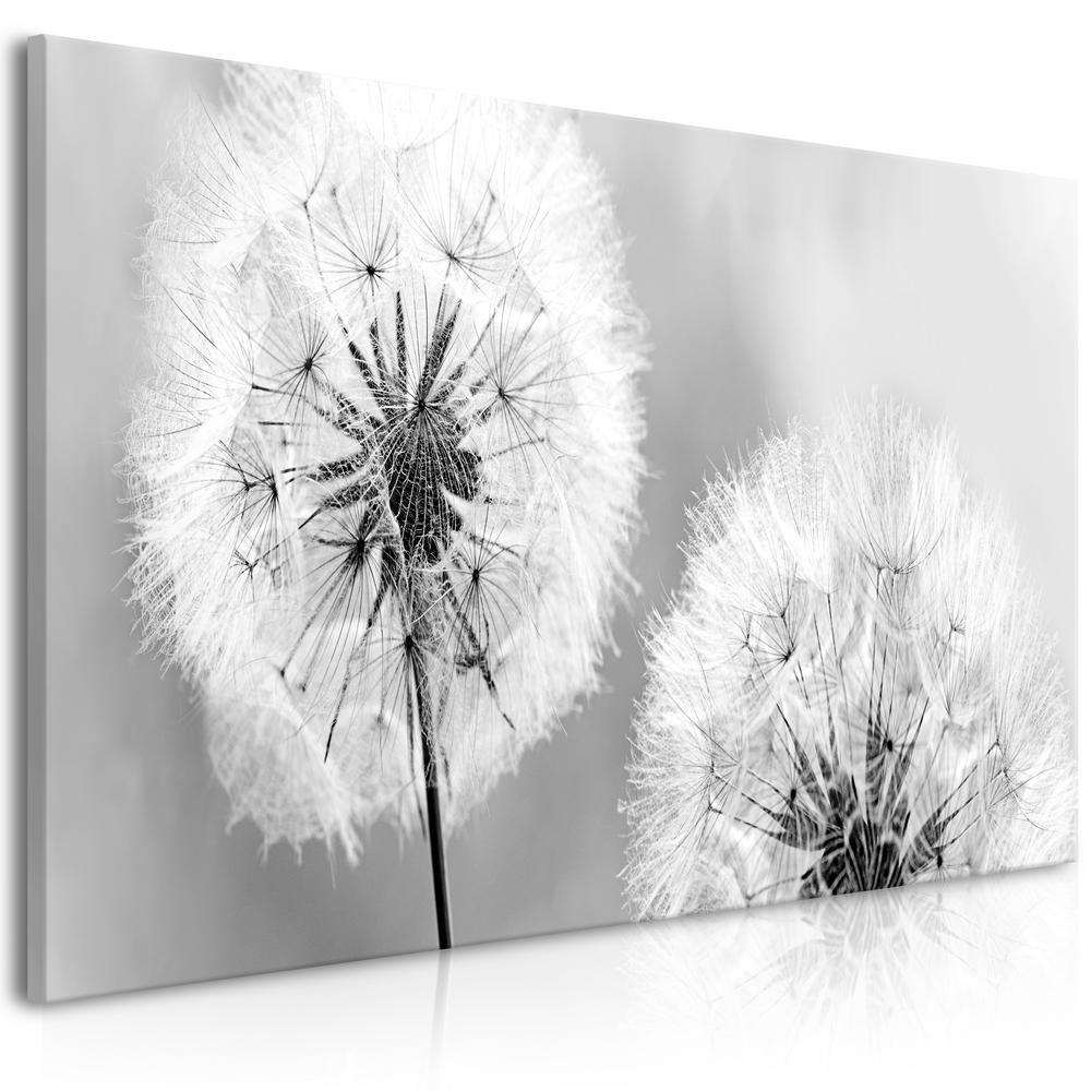 Canvas Print - Fluffy Dandelions (1 Part) Grey Wide-ArtfulPrivacy-Wall Art Collection