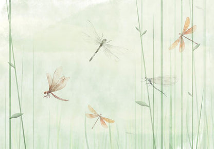 Wall Mural - Dragonflies in the Meadow-Wall Murals-ArtfulPrivacy
